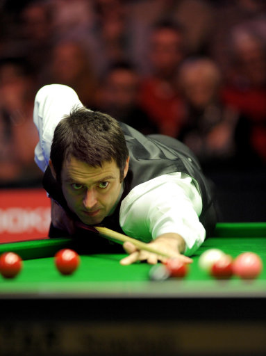 展的机会 展的机会