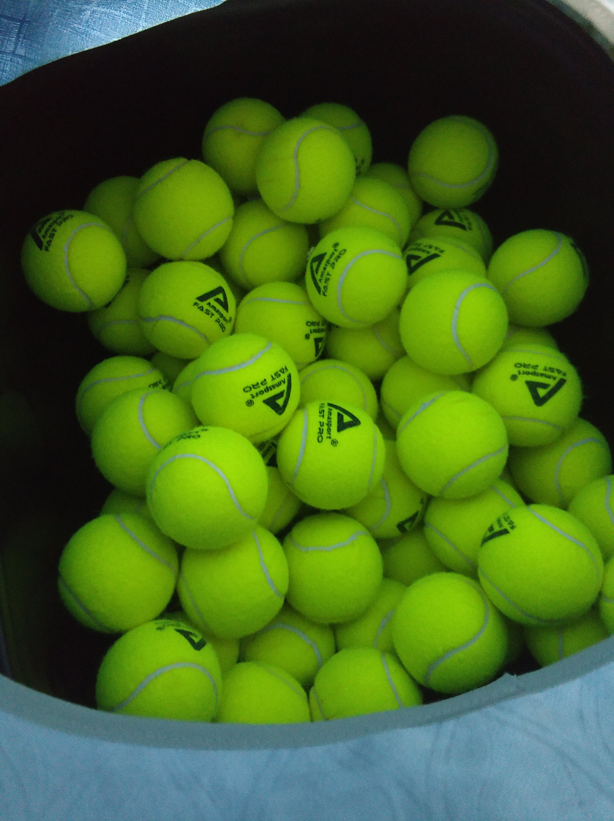 维蒂尼亚和 维蒂尼亚和